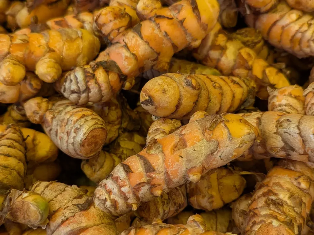 Fresh turmeric, the base of daily jamu