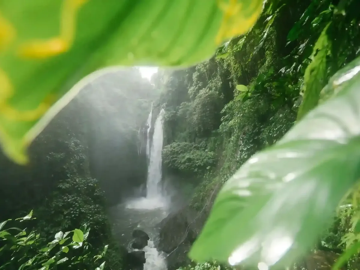 Tibumana waterfall framed by large tropical leaves in the jungle of Bali