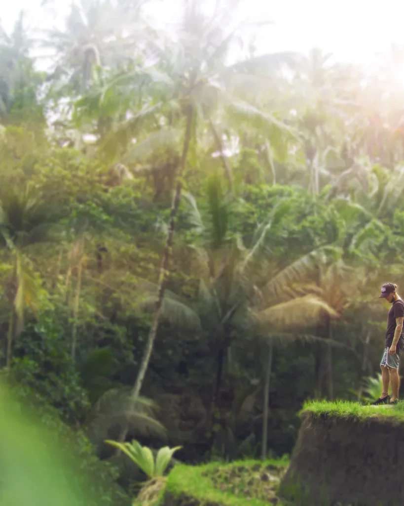 Soft morning light over a misty palm jungle valley in Ubud, Bali, with a lone walker in the distance