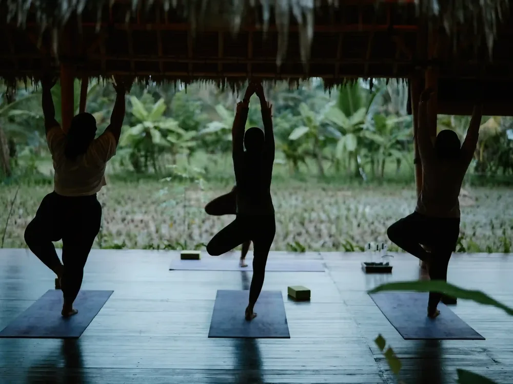 Three people in a balancing yoga pose, silhouetted in an open-air pavilion facing green fields near Ubud, Bali
