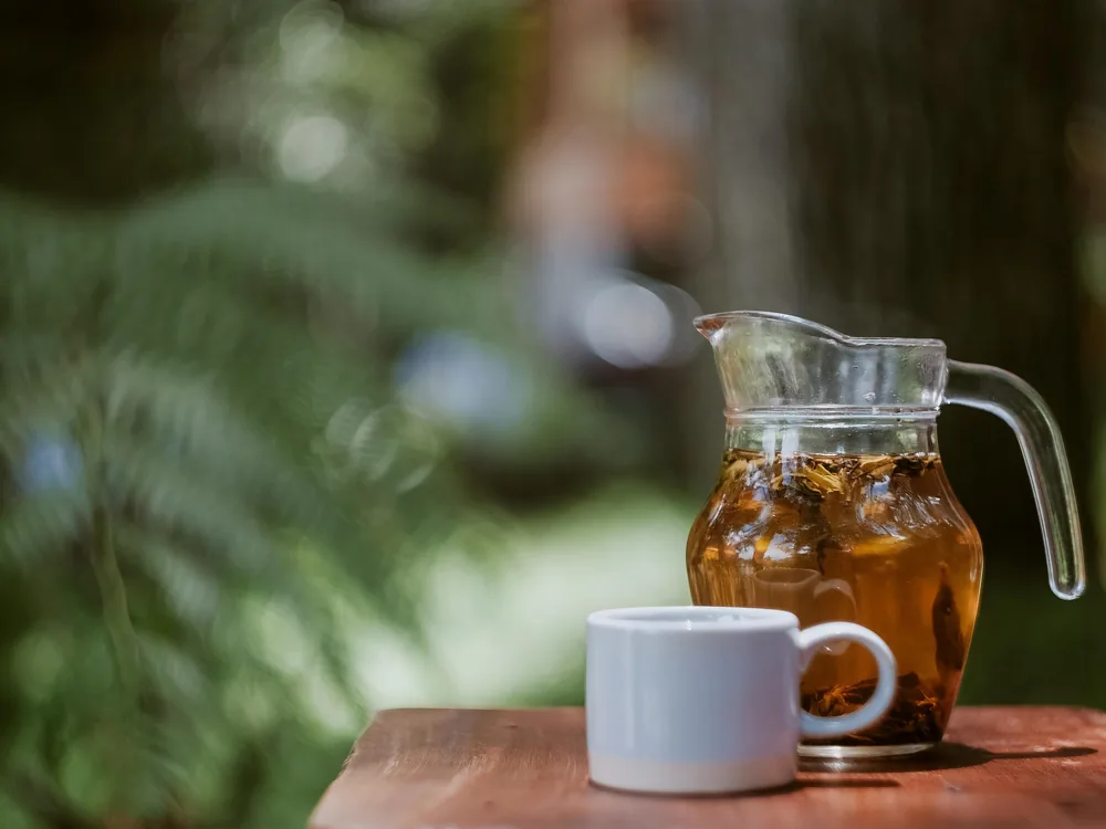 A glass pitcher of herbal tea and a white cup on a wooden table surrounded by green garden ferns